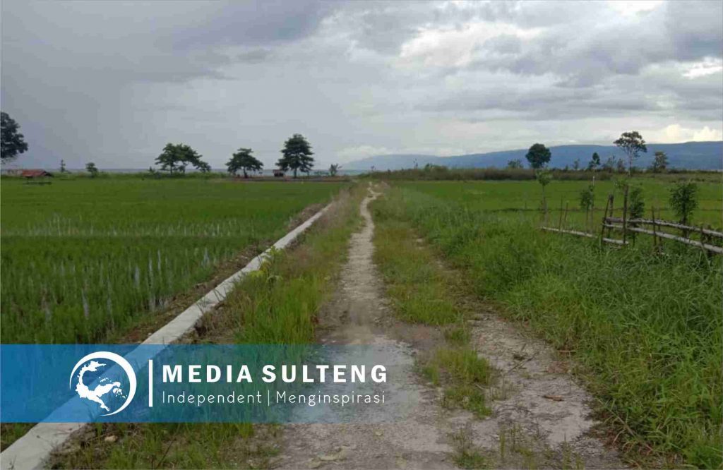 Penyelewengan Dana Desa Boe Pamona Selatan