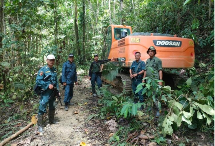 kasus-kejahatan-lingkungan-di-sulawesi-segera-disidangkan-2