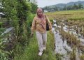 Yuliana Tumonglo Terjang Pematang Sawah Salurkan Bantuan Korban Gempa Palu