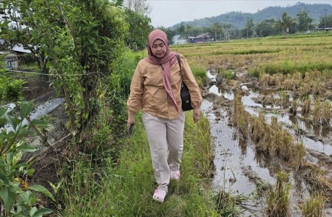 Yuliana Tumonglo Terjang Pematang Sawah Salurkan Bantuan Korban Gempa Palu
